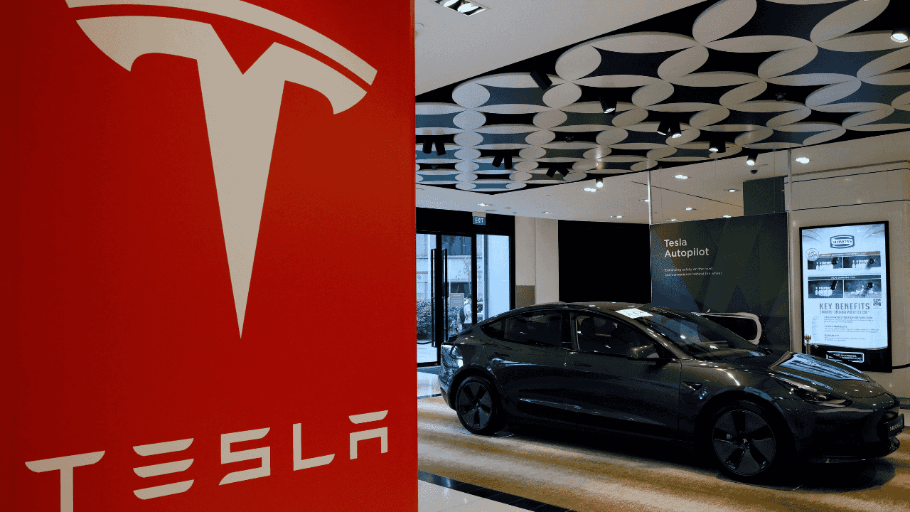 tesla india 1