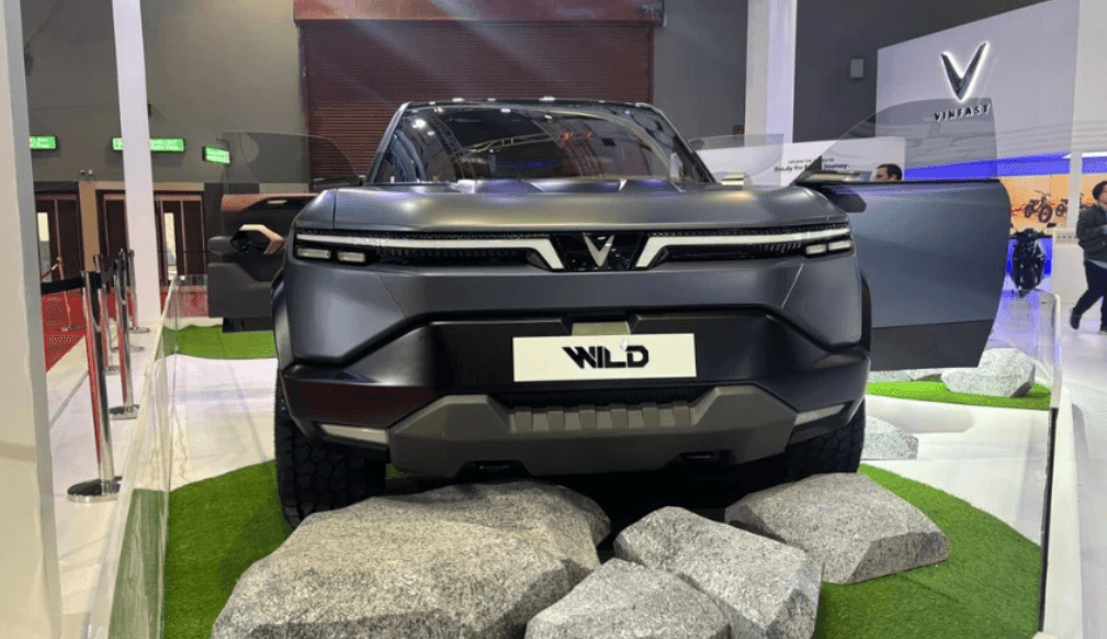 vf wild concept